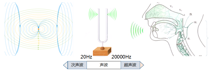 语音及传播特点