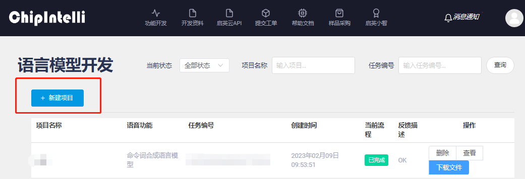 创建语言模型项目